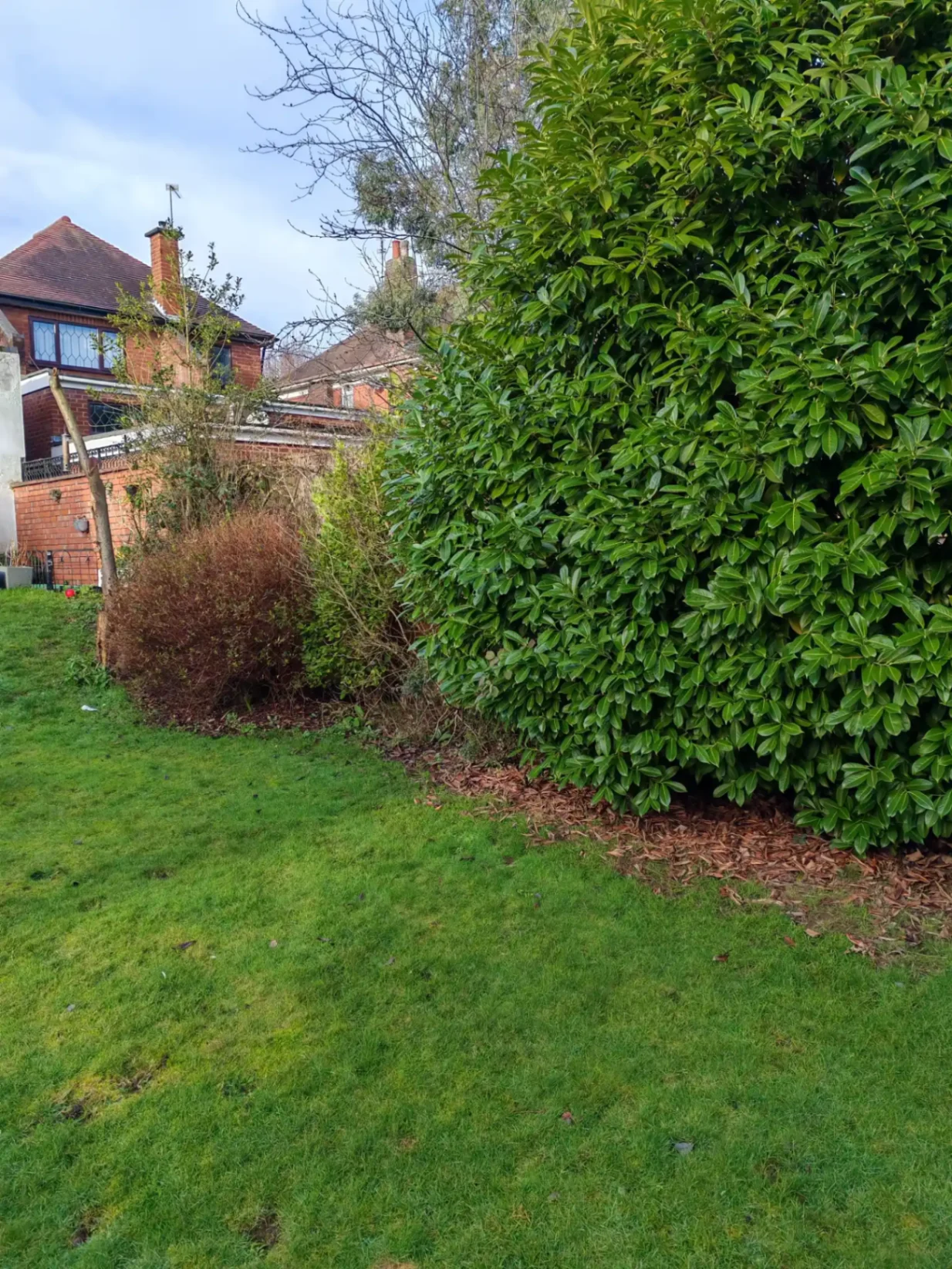 Garden clearance in progress — view 2