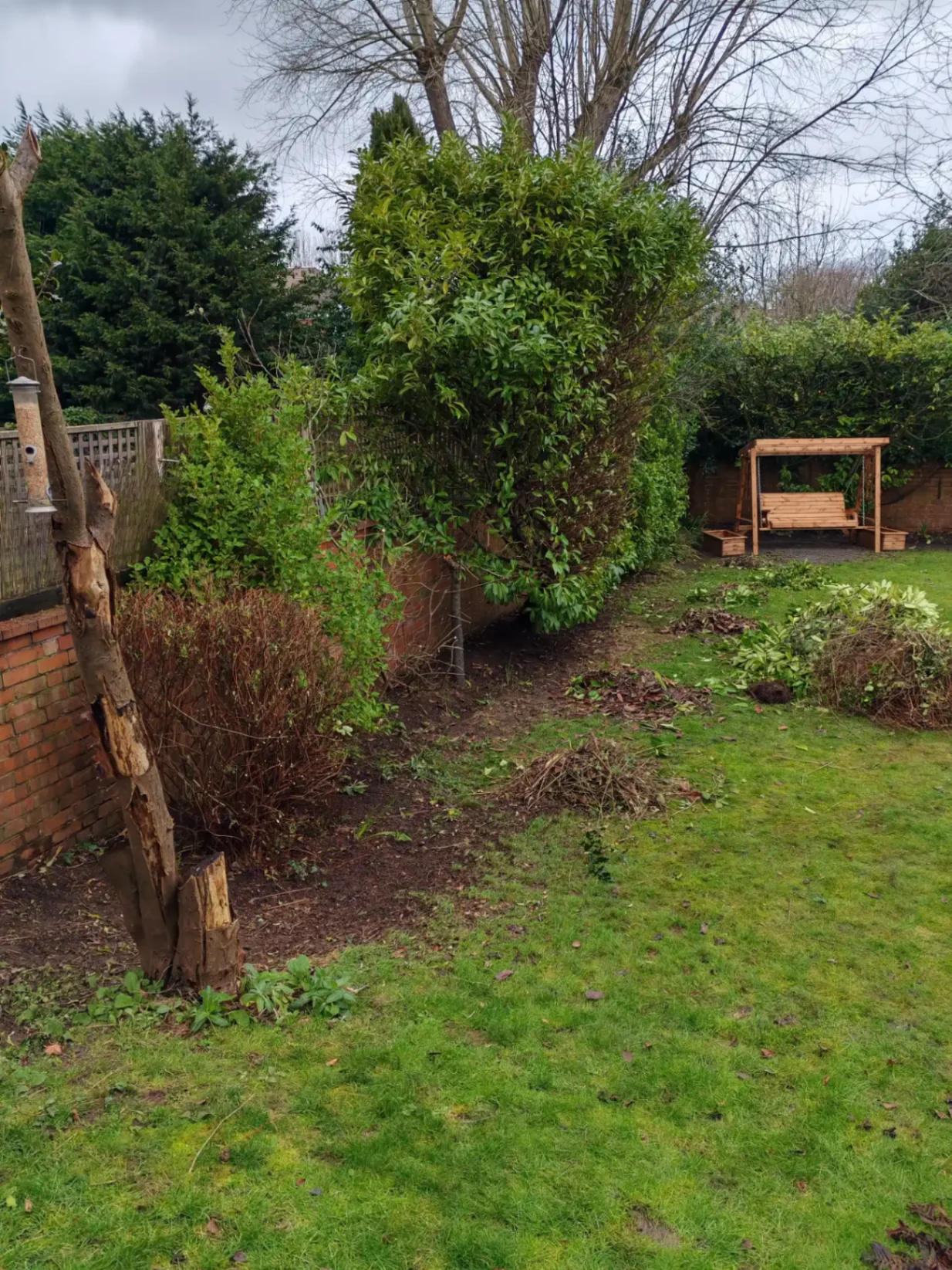 Cleared garden boundary — view 2
