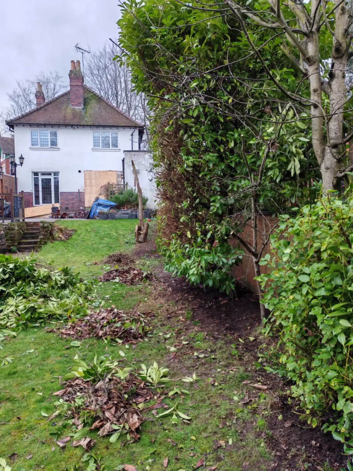 Cleared garden showing tidy lawn and house — final view